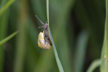 On his way to the top - Kostenloses image #493111